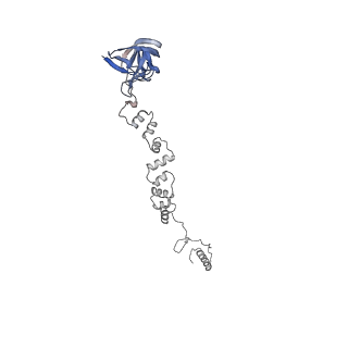 4677_6qyd_1p_v1-0
Cryo-EM structure of the head in mature bacteriophage phi29