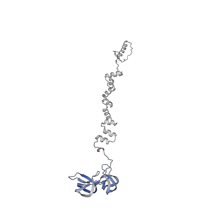 4677_6qyd_1q_v1-0
Cryo-EM structure of the head in mature bacteriophage phi29