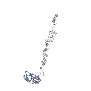 4677_6qyd_1r_v1-0
Cryo-EM structure of the head in mature bacteriophage phi29