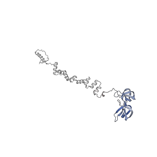 4677_6qyd_1u_v1-0
Cryo-EM structure of the head in mature bacteriophage phi29