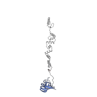 4677_6qyd_1w_v1-0
Cryo-EM structure of the head in mature bacteriophage phi29