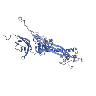 4677_6qyd_2B_v1-0
Cryo-EM structure of the head in mature bacteriophage phi29