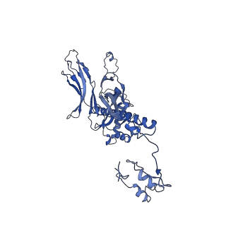 4677_6qyd_2C_v1-0
Cryo-EM structure of the head in mature bacteriophage phi29