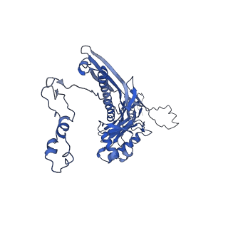 4677_6qyd_2D_v1-0
Cryo-EM structure of the head in mature bacteriophage phi29
