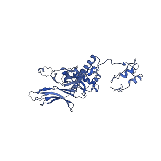 4677_6qyd_2H_v1-0
Cryo-EM structure of the head in mature bacteriophage phi29
