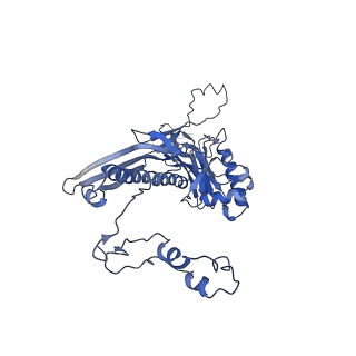 4677_6qyd_2I_v1-0
Cryo-EM structure of the head in mature bacteriophage phi29
