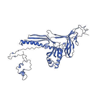 4677_6qyd_2J_v1-0
Cryo-EM structure of the head in mature bacteriophage phi29