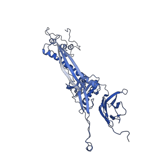 4677_6qyd_2L_v1-0
Cryo-EM structure of the head in mature bacteriophage phi29