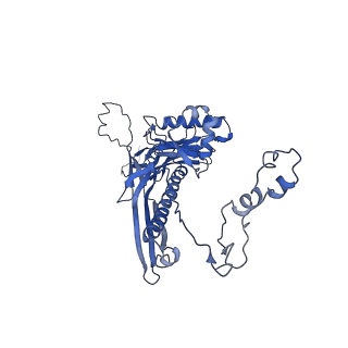 4677_6qyd_2N_v1-0
Cryo-EM structure of the head in mature bacteriophage phi29