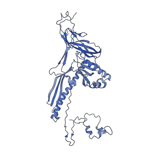 4677_6qyd_2O_v1-0
Cryo-EM structure of the head in mature bacteriophage phi29