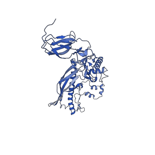 4677_6qyd_2P_v1-0
Cryo-EM structure of the head in mature bacteriophage phi29