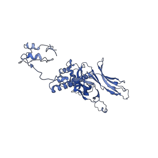 4677_6qyd_2R_v1-0
Cryo-EM structure of the head in mature bacteriophage phi29