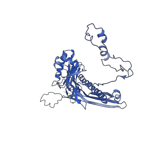 4677_6qyd_2S_v1-0
Cryo-EM structure of the head in mature bacteriophage phi29