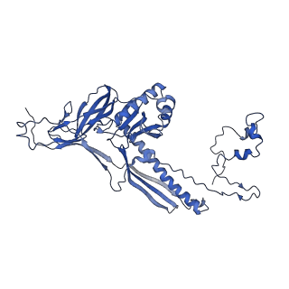 4677_6qyd_2T_v1-0
Cryo-EM structure of the head in mature bacteriophage phi29