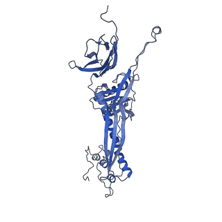 4677_6qyd_2V_v1-0
Cryo-EM structure of the head in mature bacteriophage phi29