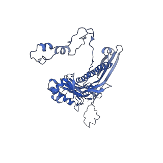 4677_6qyd_2X_v1-0
Cryo-EM structure of the head in mature bacteriophage phi29