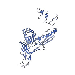 4677_6qyd_2Y_v1-0
Cryo-EM structure of the head in mature bacteriophage phi29