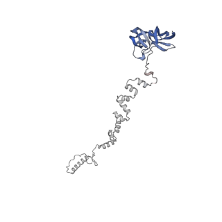 4677_6qyd_2c_v1-0
Cryo-EM structure of the head in mature bacteriophage phi29