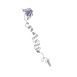 4677_6qyd_2f_v1-0
Cryo-EM structure of the head in mature bacteriophage phi29