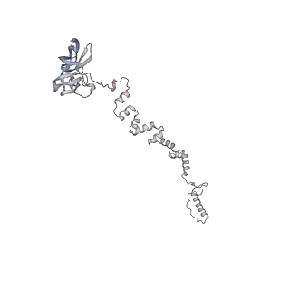4677_6qyd_2h_v1-0
Cryo-EM structure of the head in mature bacteriophage phi29