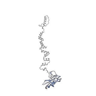 4677_6qyd_2r_v1-0
Cryo-EM structure of the head in mature bacteriophage phi29