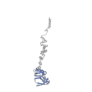 4677_6qyd_2s_v1-0
Cryo-EM structure of the head in mature bacteriophage phi29