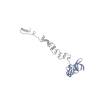 4677_6qyd_2t_v1-0
Cryo-EM structure of the head in mature bacteriophage phi29