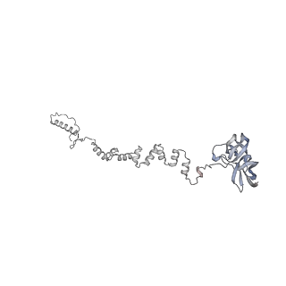 4677_6qyd_2w_v1-0
Cryo-EM structure of the head in mature bacteriophage phi29