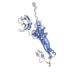 4677_6qyd_3B_v1-0
Cryo-EM structure of the head in mature bacteriophage phi29