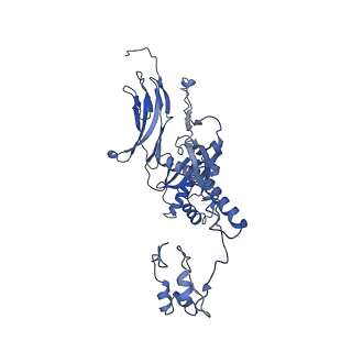 4677_6qyd_3C_v1-0
Cryo-EM structure of the head in mature bacteriophage phi29