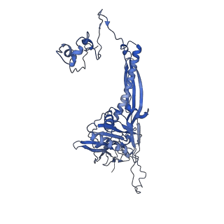 4677_6qyd_3E_v1-0
Cryo-EM structure of the head in mature bacteriophage phi29