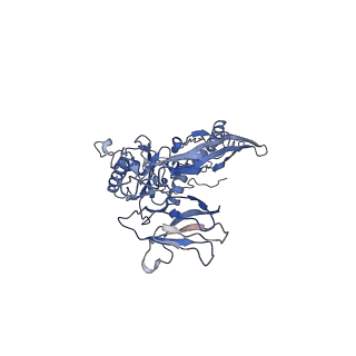 4677_6qyd_3G_v1-0
Cryo-EM structure of the head in mature bacteriophage phi29