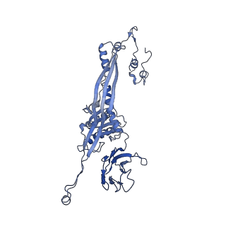 4677_6qyd_3N_v1-0
Cryo-EM structure of the head in mature bacteriophage phi29