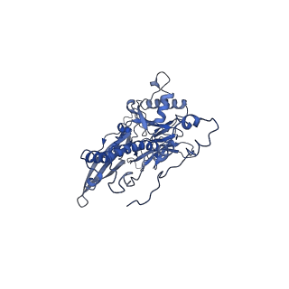 4677_6qyd_3P_v1-0
Cryo-EM structure of the head in mature bacteriophage phi29