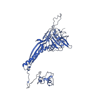 4677_6qyd_3Q_v1-0
Cryo-EM structure of the head in mature bacteriophage phi29