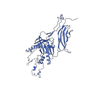 4677_6qyd_3R_v1-0
Cryo-EM structure of the head in mature bacteriophage phi29