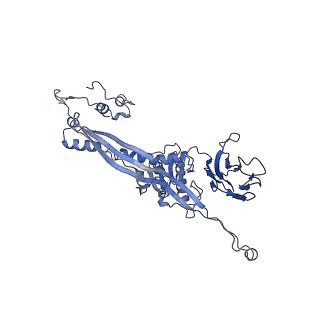 4677_6qyd_3T_v1-0
Cryo-EM structure of the head in mature bacteriophage phi29