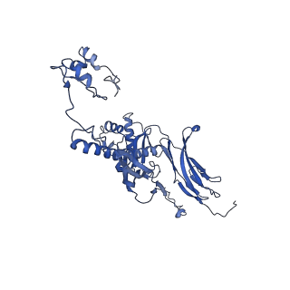 4677_6qyd_3U_v1-0
Cryo-EM structure of the head in mature bacteriophage phi29