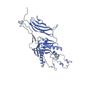 4677_6qyd_3X_v1-0
Cryo-EM structure of the head in mature bacteriophage phi29
