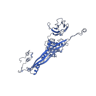 4677_6qyd_3Z_v1-0
Cryo-EM structure of the head in mature bacteriophage phi29