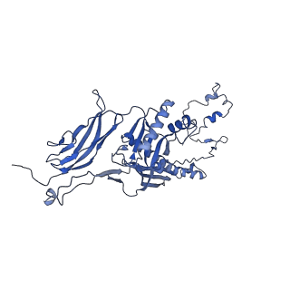 4677_6qyd_3d_v1-0
Cryo-EM structure of the head in mature bacteriophage phi29