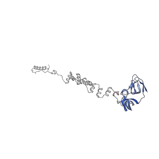 4677_6qyd_3g_v1-0
Cryo-EM structure of the head in mature bacteriophage phi29