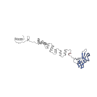 4677_6qyd_3h_v1-0
Cryo-EM structure of the head in mature bacteriophage phi29