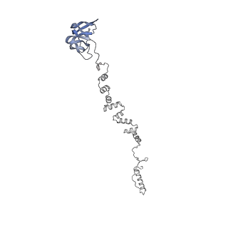 4677_6qyd_3j_v1-0
Cryo-EM structure of the head in mature bacteriophage phi29