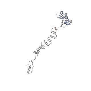4677_6qyd_3l_v1-0
Cryo-EM structure of the head in mature bacteriophage phi29