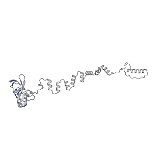 4677_6qyd_3m_v1-0
Cryo-EM structure of the head in mature bacteriophage phi29