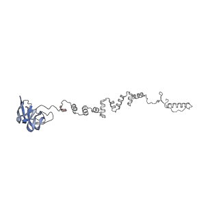 4677_6qyd_3n_v1-0
Cryo-EM structure of the head in mature bacteriophage phi29
