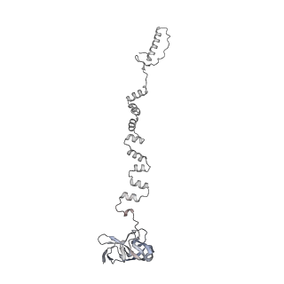 4677_6qyd_3q_v1-0
Cryo-EM structure of the head in mature bacteriophage phi29