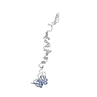 4677_6qyd_3r_v1-0
Cryo-EM structure of the head in mature bacteriophage phi29