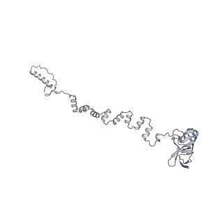 4677_6qyd_3u_v1-0
Cryo-EM structure of the head in mature bacteriophage phi29